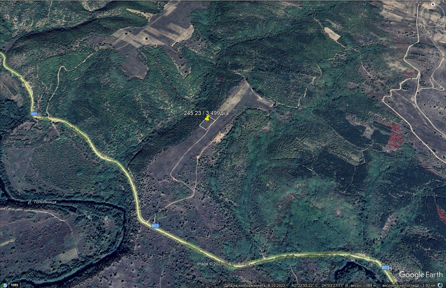 p5.3.jpg